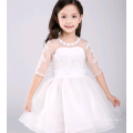Красивая белая девочка принцесса платья последние дизайн платье для девушки цветка карнавальных костюмов платье дети цветок платье 